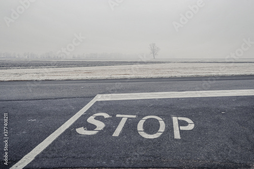  road covered with frost, Gravellona Lomellina, Italy photo