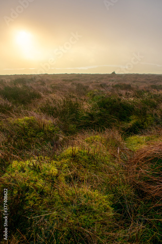 Abstract Vibrant Landscape, Ireland