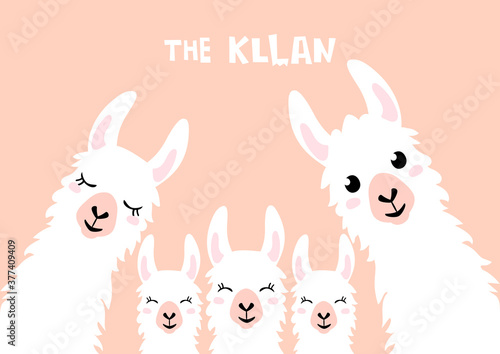 Llama Alpaca. The klan card. Family illustration, vector