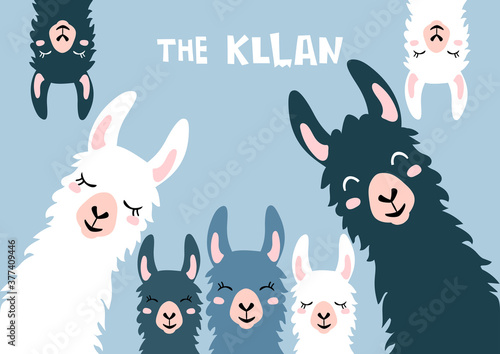 Llama Alpaca. The klan card. Family illustration, vector