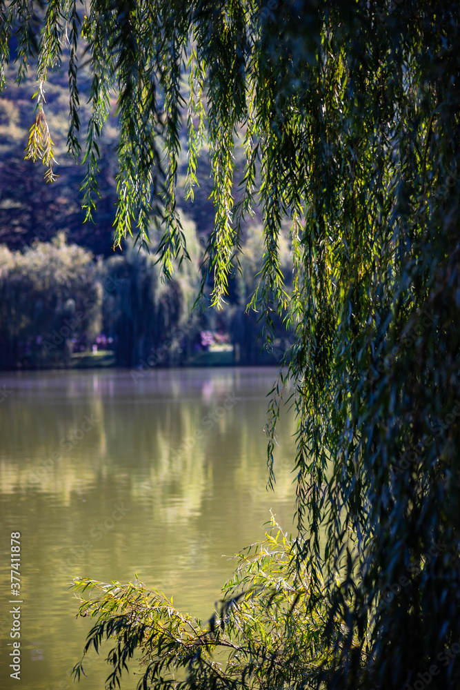 Obraz premium Lopota lake with reflection of mountains
