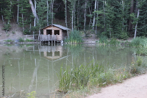 Wooden house on the shore of a forest lake