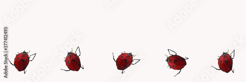 Stylized cockroaches on a white background. Insecticide concept