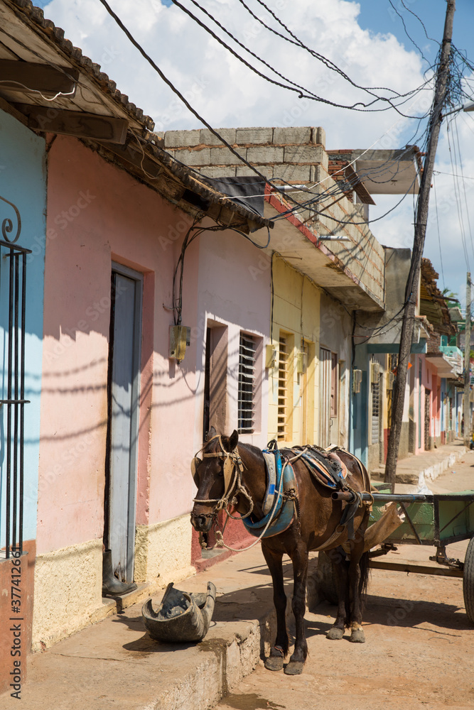 Horse and cart on the streets of Trinidad, Cuba Horse and cart on the streets of Trinidad, Cuba