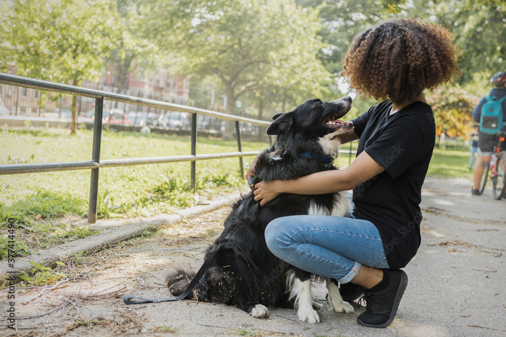 Young Woman with her Pet Border Collie Dog in BedStuy Park in Br Young Woman with her Pet Border Collie Dog in BedStuy Park in Br