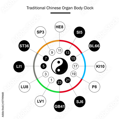 Traditional Chinese organs body clock. Main meridians  - 24 hours. Yin yang indicator : black for yin & white for yang. Colors symbolize elements : fire, water, metal, wood, earth
