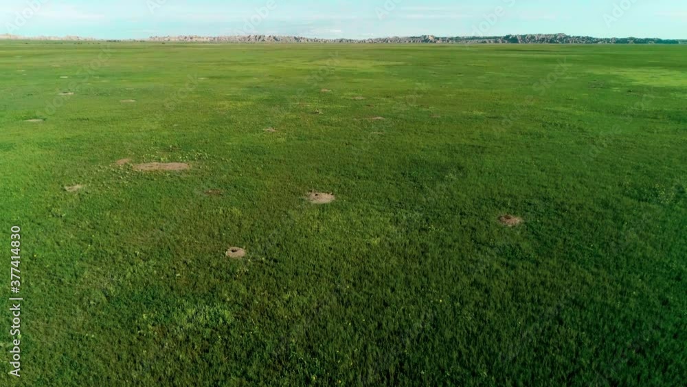 Aerial view of lush green grassland Aerial view of lush green grassland