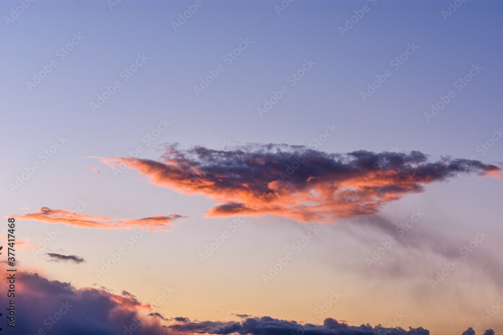 Vibrant Golden Sunset with Tree Silhouette Vibrant Golden Sunset with Tree Silhouette