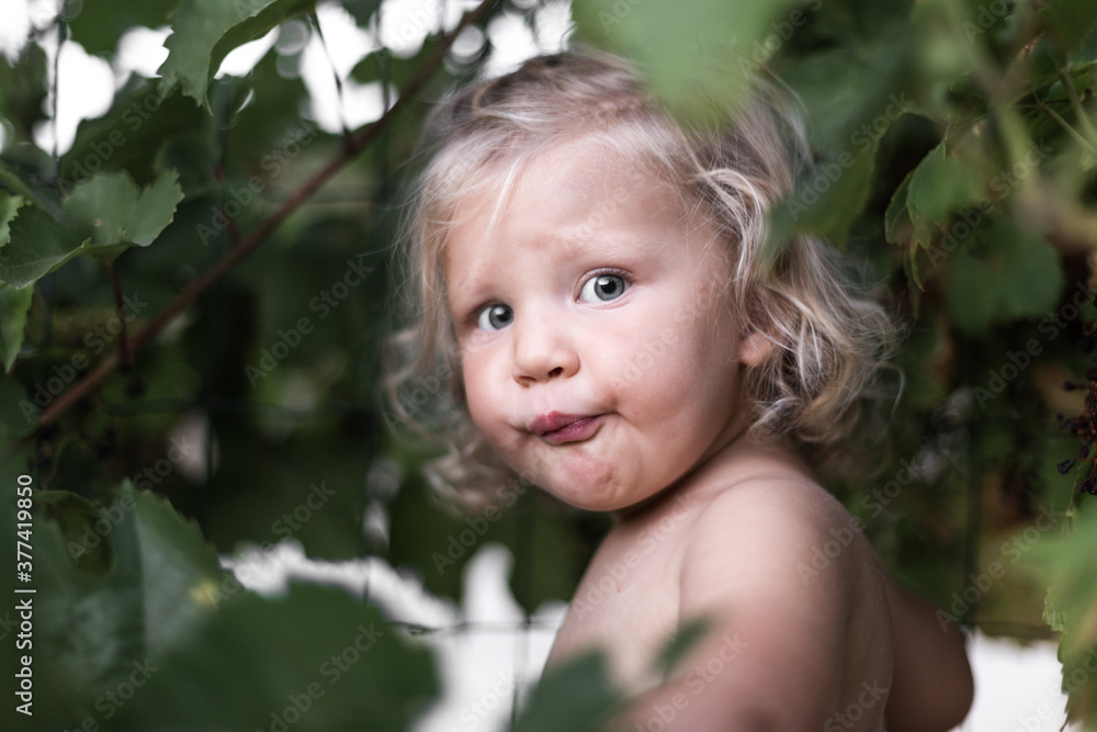 portrait petite fille blonde dans les vignes portrait petite fille blonde dans les vignes