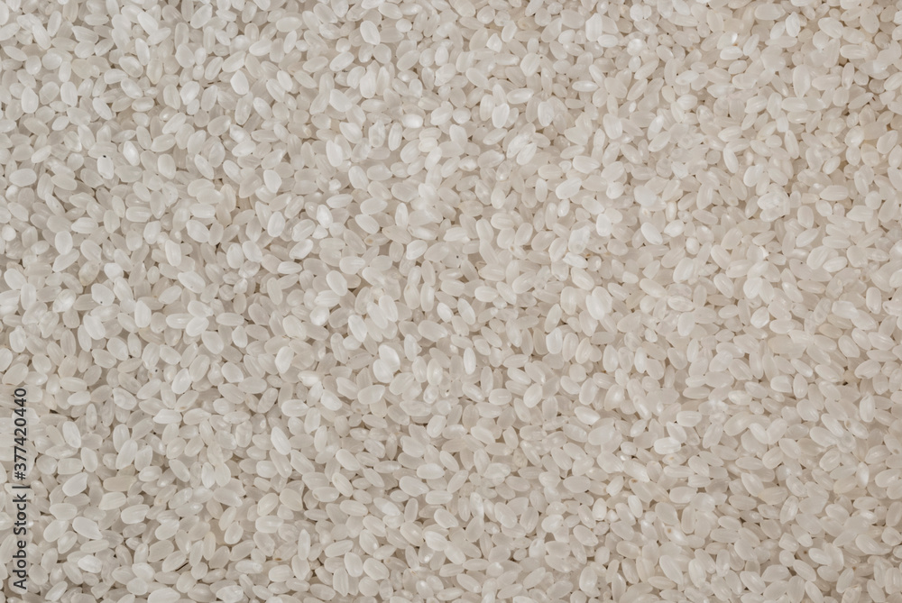 Aromatic grains of Thai rice background texture Aromatic grains of Thai rice background texture