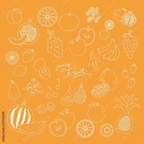 いろんなフルーツの線画手描きイラストアイコン fruit line illustration vector icon