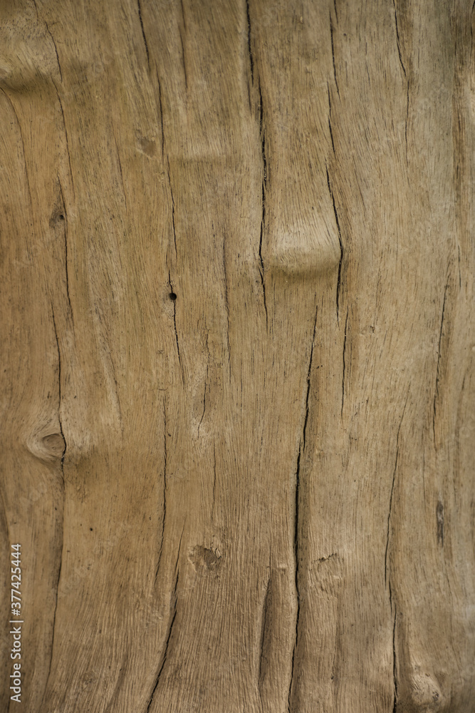 Naklejka premium Tree trunk texture without bark, smooth tree, wood background