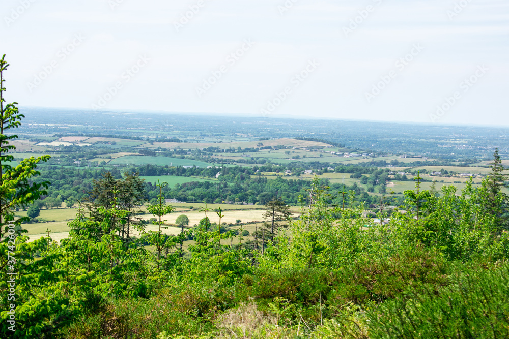 Green Irish fields