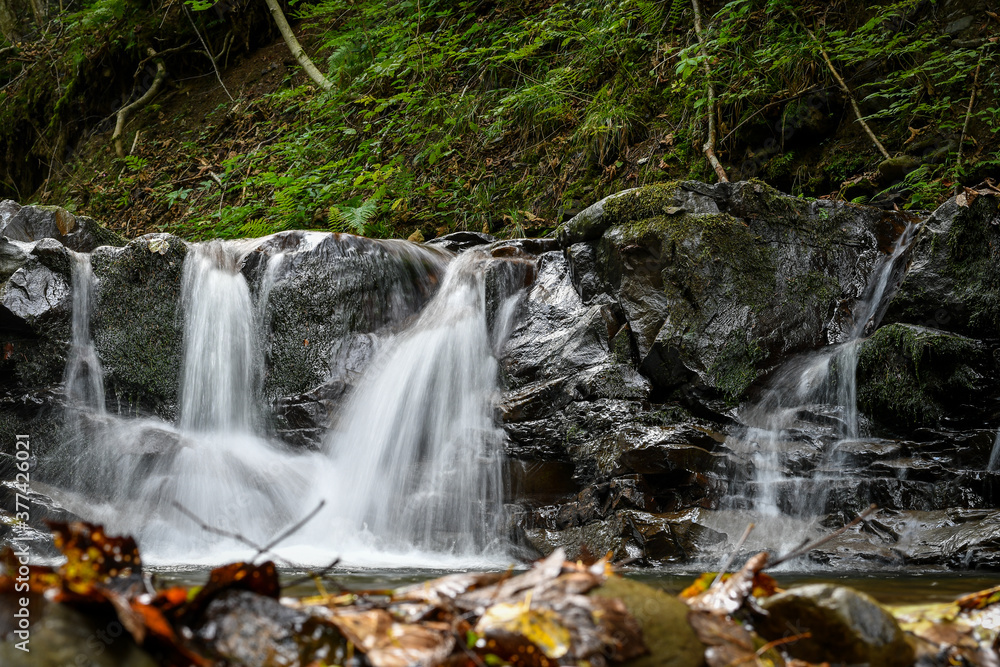 Fototapeta premium Waterfall in the forest in carpathian mountains, on the background of autumn leaves. Selective focus. 