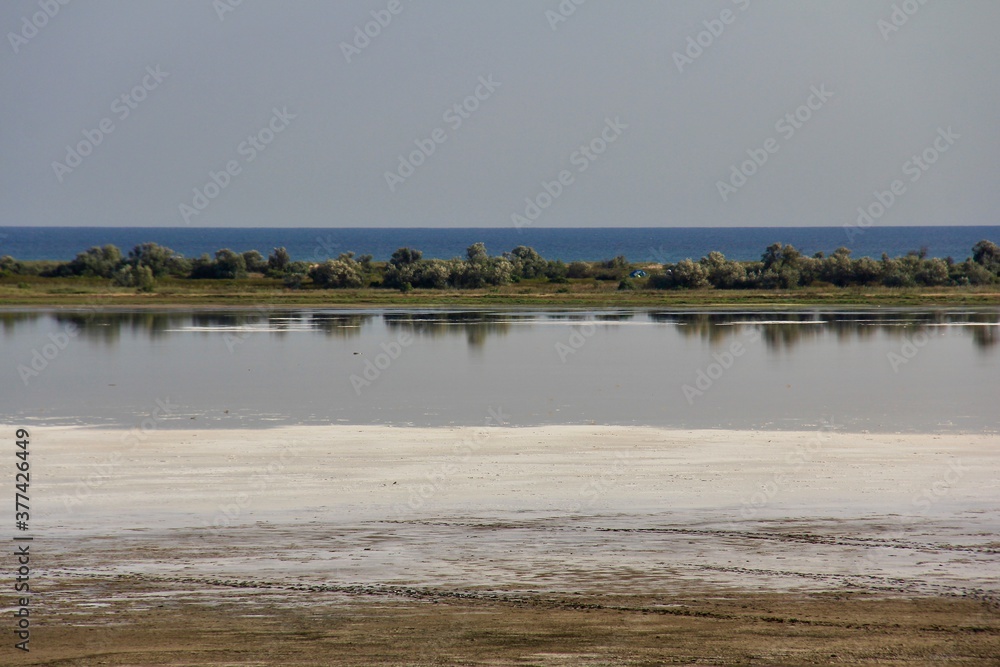 Coast of dried salt lake with reflections of trees Coast of dried salt lake with reflections of trees