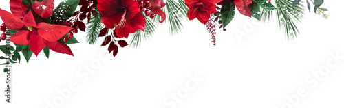 Emerald christmas greenery, red poinsettia, amaryllis, spruce, fir vector design banner
