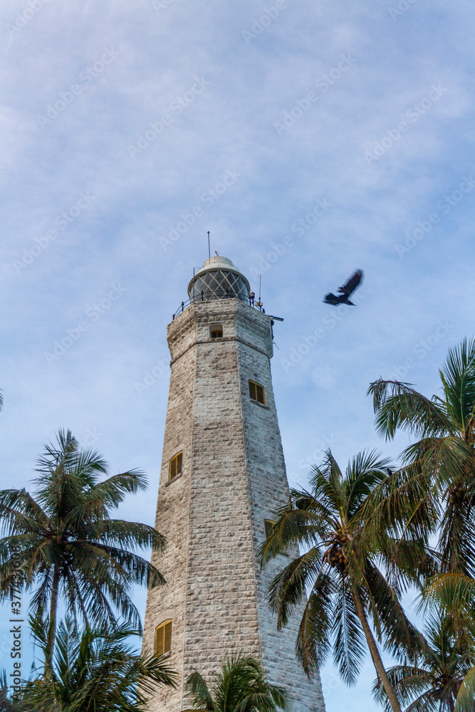 Historic stone lighthouse in Sri Lanka, flanked with coconut palm trees. 