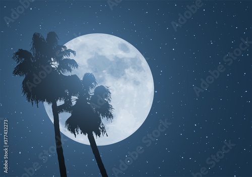 nice moon and palms