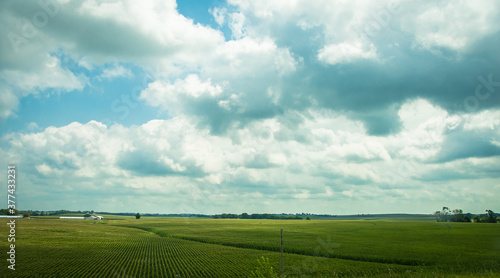 field and sky