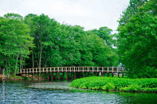 Wooden footbridge over lake in Mill Pond Park Ashland MA USA