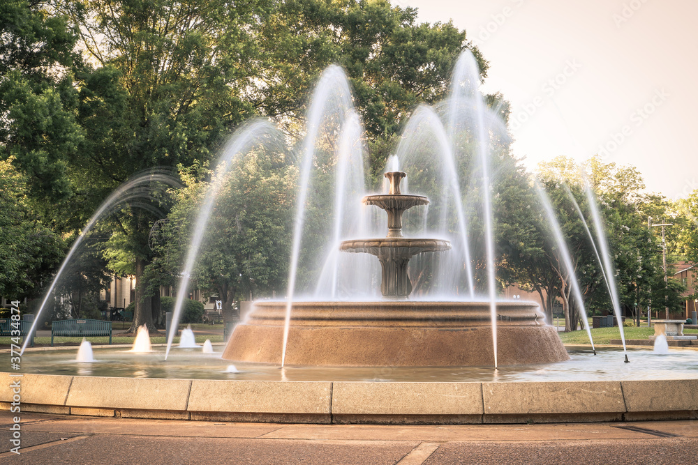 Fototapeta premium Wilson Park Fountain 