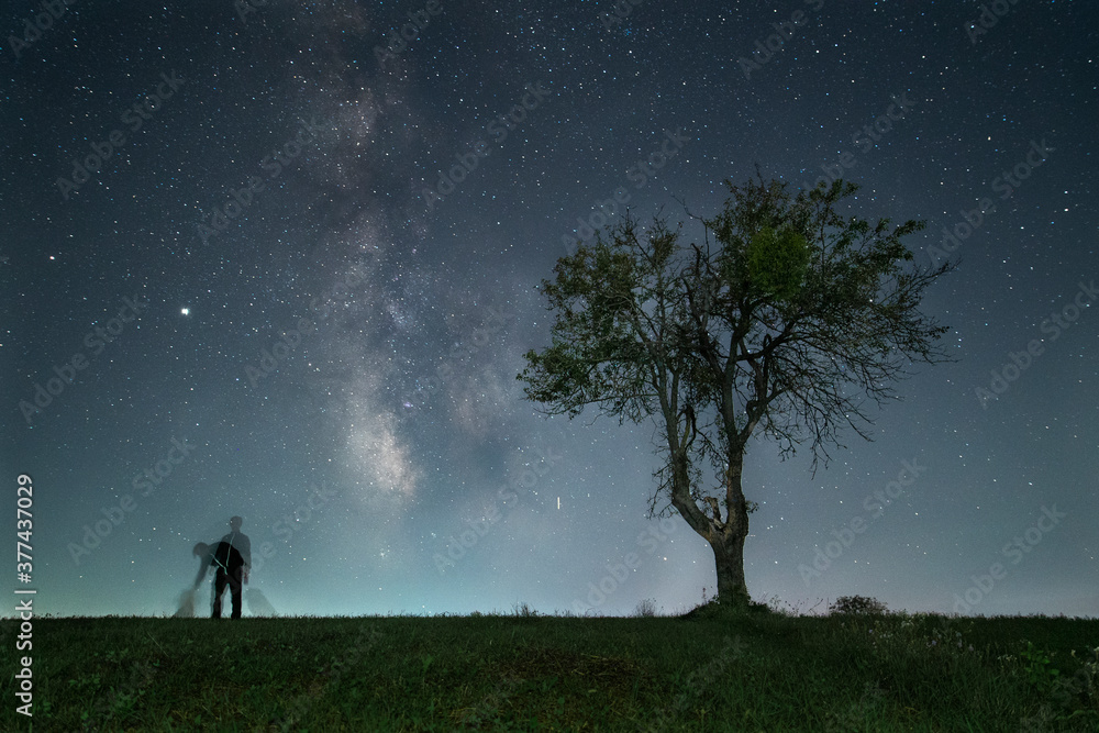 Man, tree and dogs under night sky and milky way