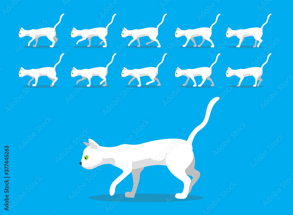 Animal Animation Sequence White Cat Sphynx Cartoon Vector Stock Vector |  Adobe Stock