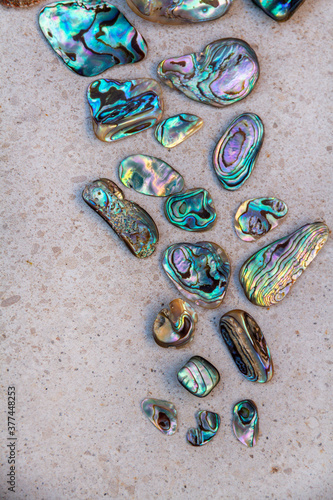 Mother of pearl and abalone shell arrangement