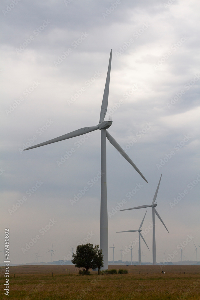 Wind turbines in a rural field. 