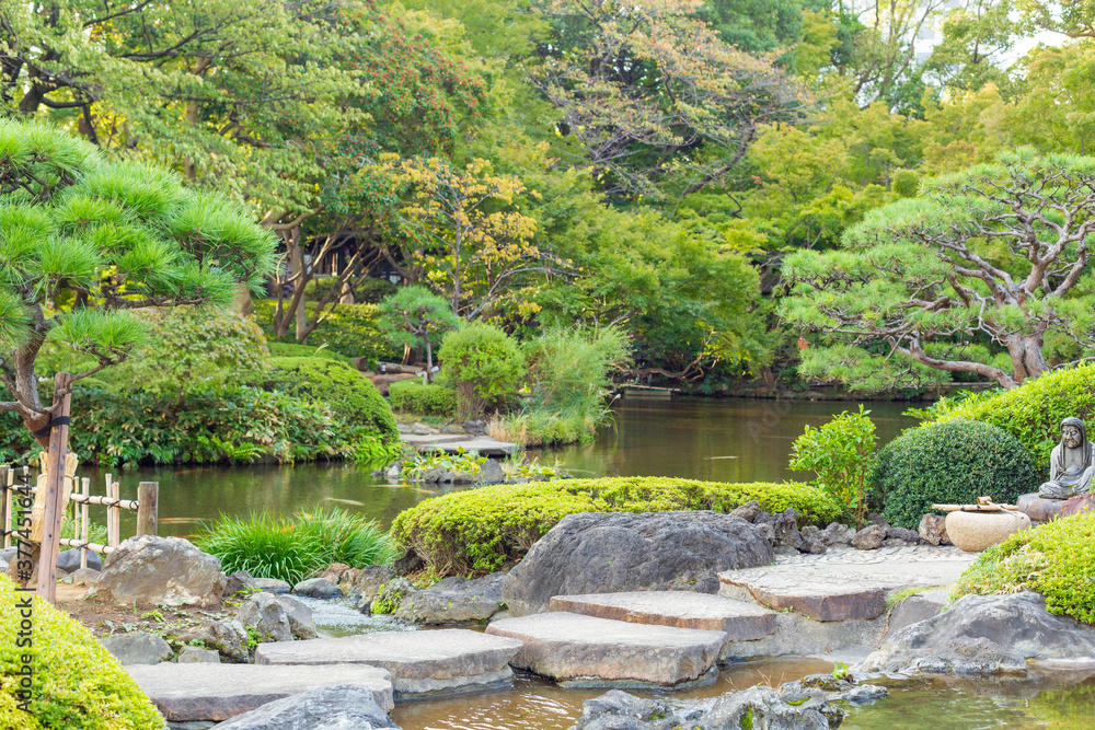 japanese garden with pond  in tokyo, japan