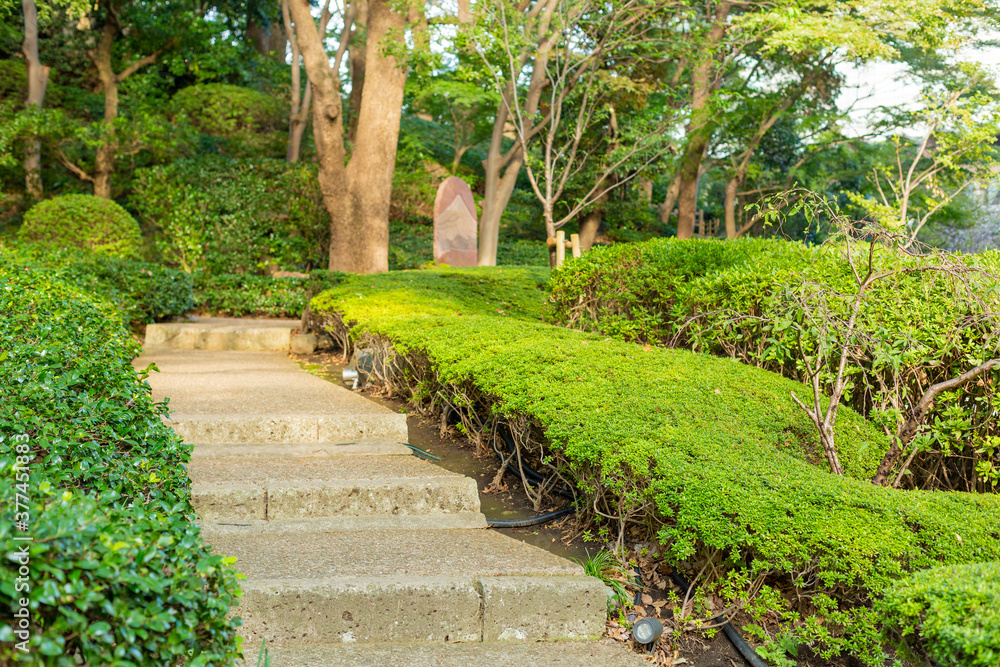 stairs surrounded by hedge in japanese garden in tokyo, japan