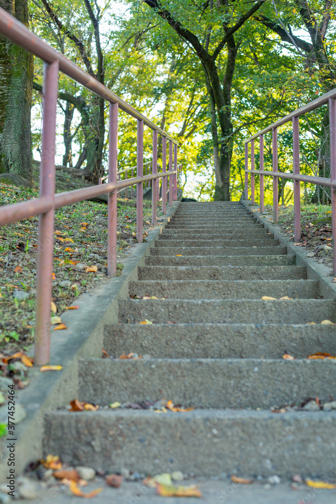 stairs in the park surrounded by trees with green leaves in tokyo, japan stairs in the park surrounded by trees with green leaves in tokyo, japan
