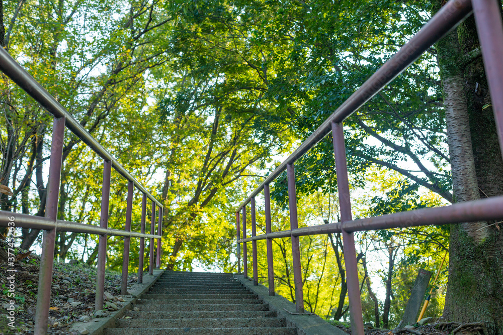 stairs in the park surrounded by trees with green leaves in tokyo, japan stairs in the park surrounded by trees with green leaves in tokyo, japan