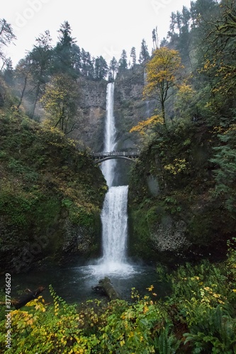 multnomah