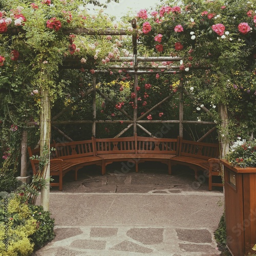 bench