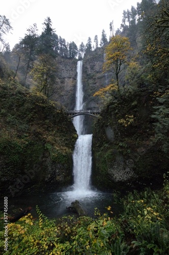 portland