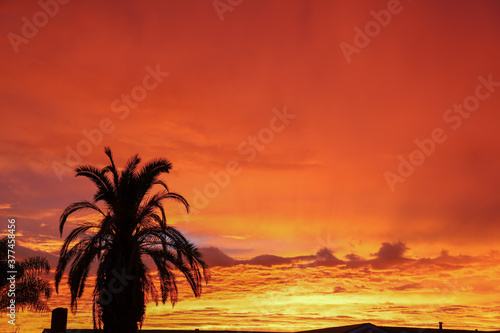 Majestic fiery orange sunset in San Diego  California on June 29  2019.