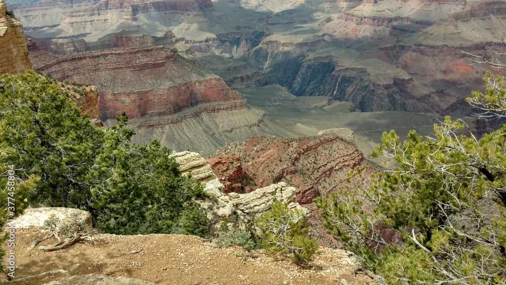 Fototapeta premium landscape