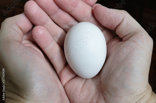 Hand carefully holding a white egg. Money concept of nurturing one's growing investment, protecting one's nest egg. Concept for caring and protecting the vulnerable, helpless, fragile or the weak.