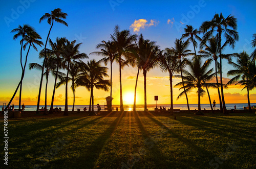 Fototapeta Naklejka Na Ścianę i Meble -  Summer sunset on world famous Waikiki beach with palm trees in Honolulu on the island Oahu, Hawaii.