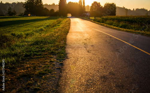Obraz na płótnie Golden light shines on empty rural road w salonie
