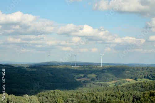 a forest with wind turbines in the background