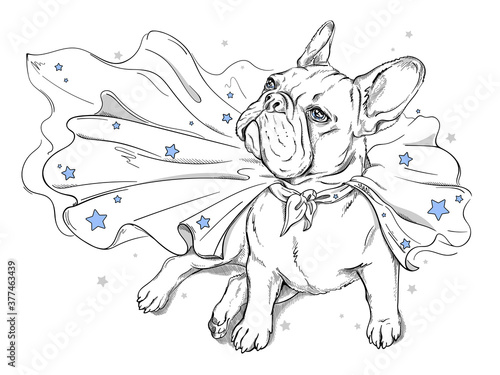 Cute french bulldog in a superhero cape. A dog in a cape with stars. Stylish image for printing on any surface