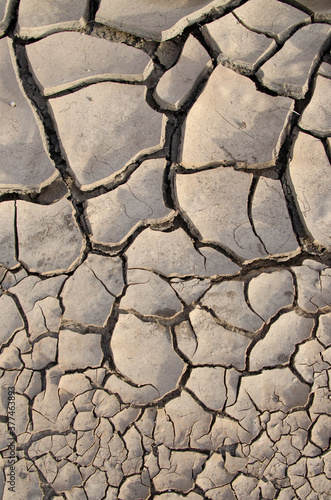 Cracks in Dried Mud