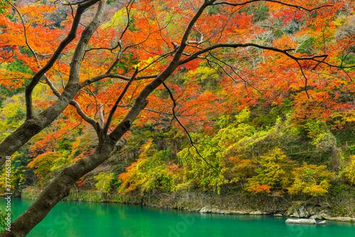 京都・嵐山の紅葉 