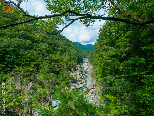 River flowing through the canyon (Tochigi, Japan) photo