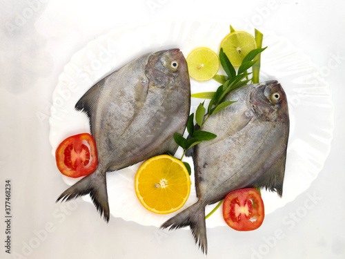 Black pomfret fishes arranged on a white plate, decorated with lemon slice, tomato and curry leaves .isolated on white background,Selective focus. photo