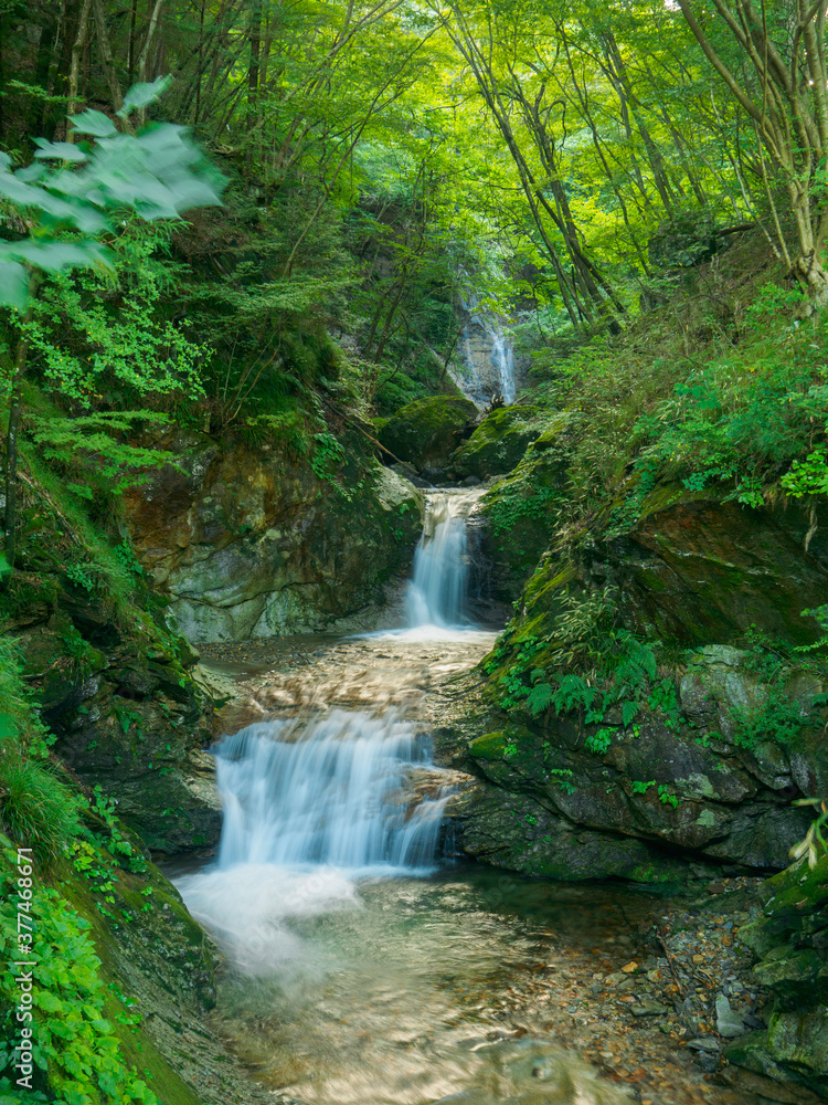 Waterfalls in the forest on mountain (Tochigi, Japan)