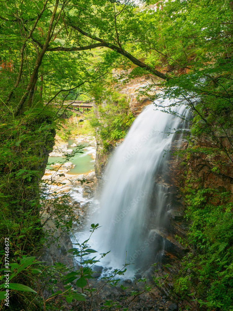 Waterfall in the canyon (Tochigi, Japan)