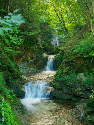Waterfalls in the forest on mountain  Tochigi  Japan 